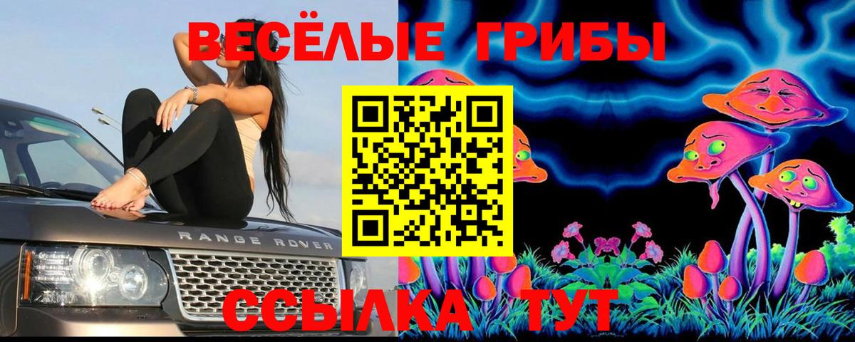 Псилоцибиновые грибы Cubensis  Вход с VPN  Сунжа 